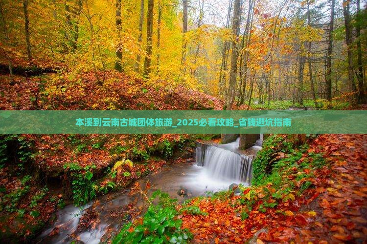 本溪到云南古城团体旅游