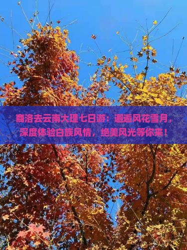 商洛去云南大理七日游