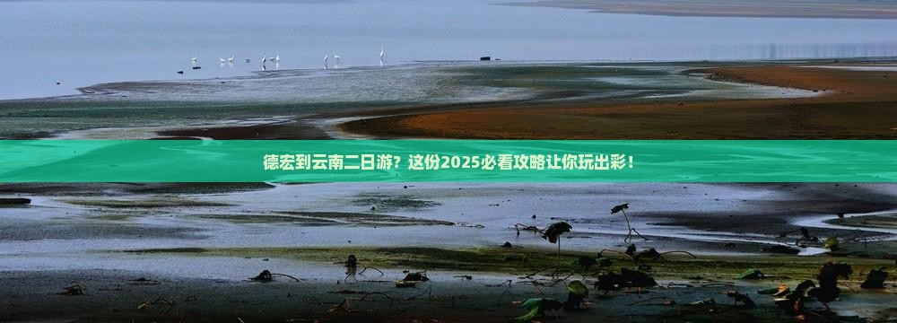 德宏到云南二日游