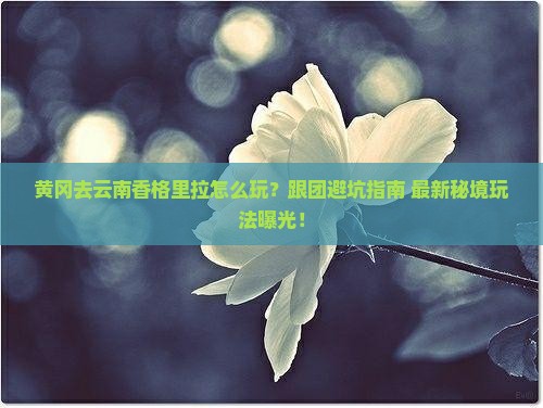 黄冈去云南香格里拉团体旅游