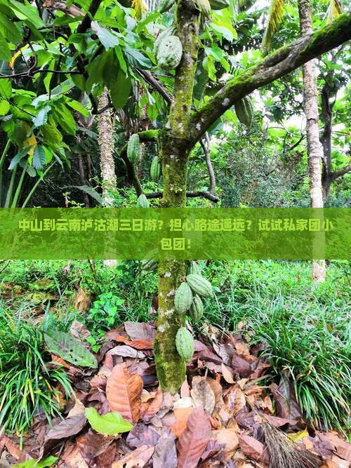 中山到云南泸沽湖三日游？担心路途遥远？试试私家团小包团！
