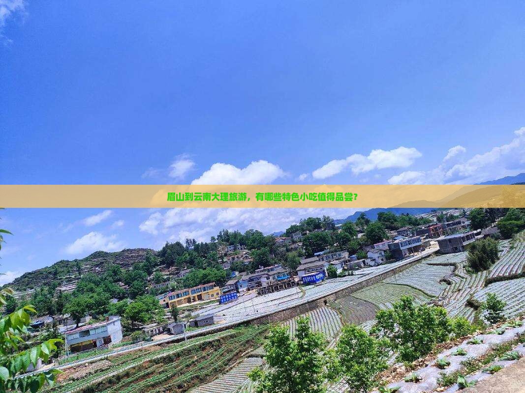 眉山到云南大理旅游，有哪些特色小吃值得品尝？