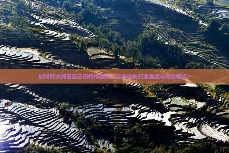 如何解决湘西至云南香格里拉二日游中的交通难题与住宿痛点？
