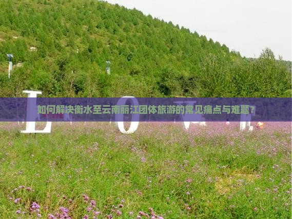 如何解决衡水至云南丽江团体旅游的常见痛点与难题？