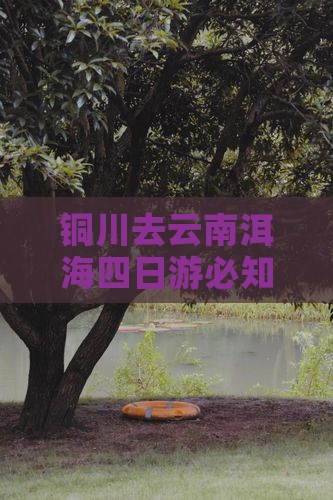 铜川去云南洱海四日游必知公里数及路线