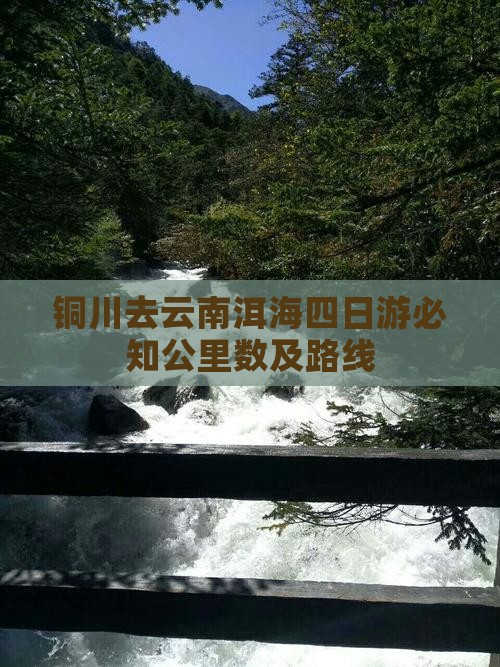 铜川去云南洱海四日游必知公里数及路线