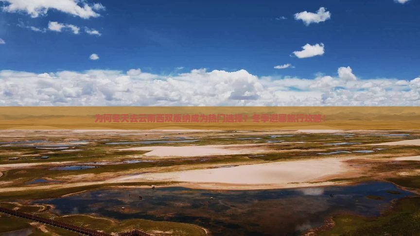 为何冬天去云南西双版纳成为热门选择？冬季避寒旅行攻略！