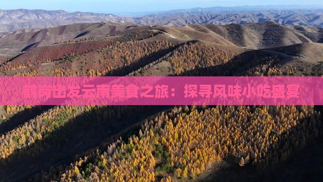 鹤岗出发云南美食之旅：探寻风味小吃盛宴