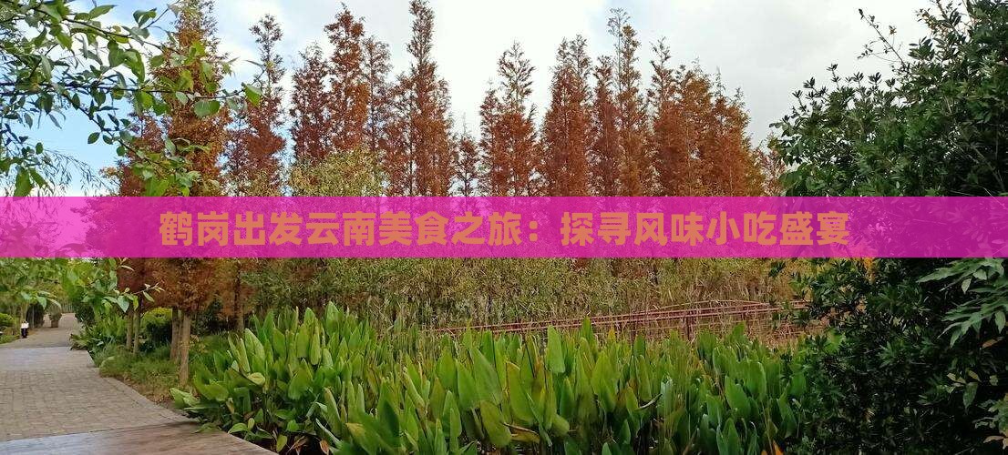 鹤岗出发云南美食之旅：探寻风味小吃盛宴