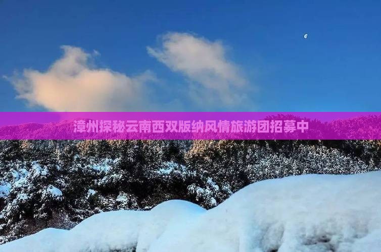 漳州探秘云南西双版纳风情旅游团招募中