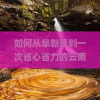 如何从阜新策划一次省心省力的云南昆明四日游，解决高开销和行程规划难题？