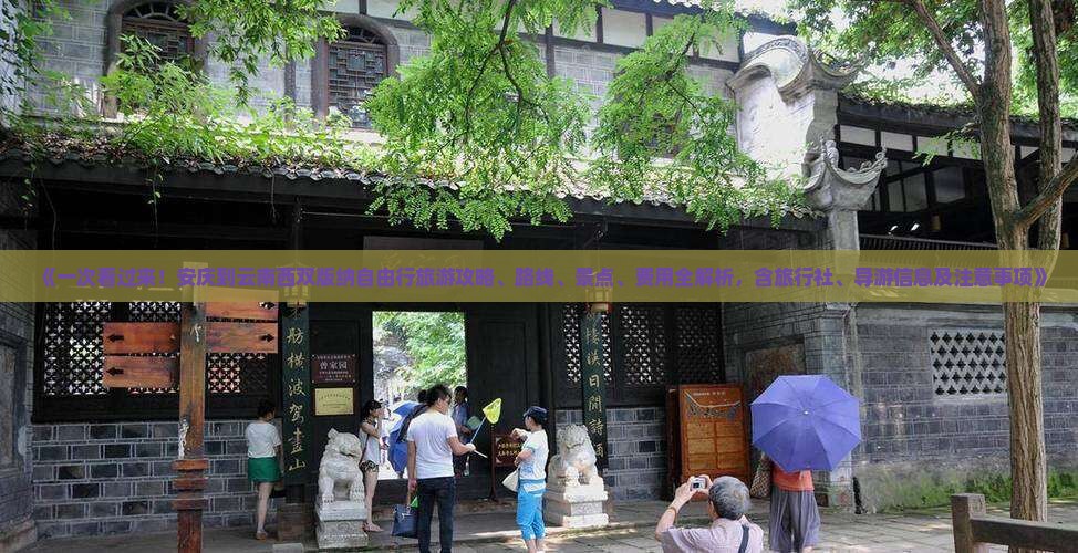 《一次看过来！安庆到云南西双版纳自由行旅游攻略、路线、景点、费用全解析，含旅行社、导游信息及注意事项》