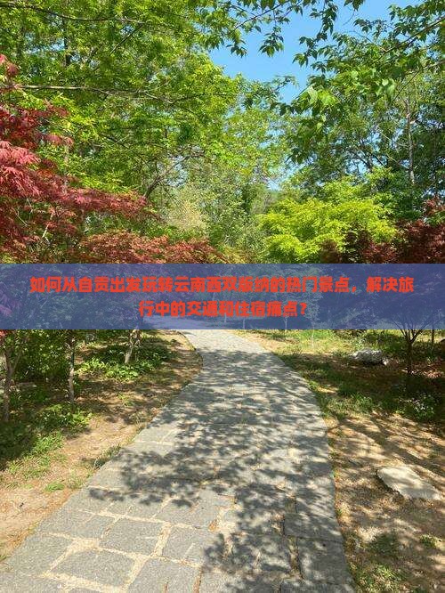 如何从自贡出发玩转云南西双版纳的热门景点，解决旅行中的交通和住宿痛点？