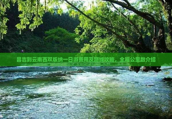 昌吉到云南西双版纳一日游费用及路线攻略，全程公里数介绍