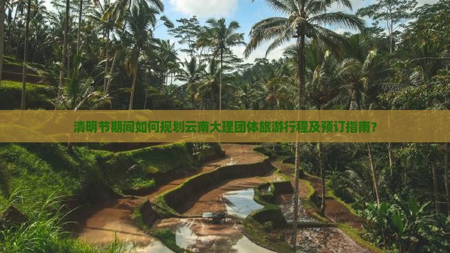 清明节期间如何规划云南大理团体旅游行程及预订指南？