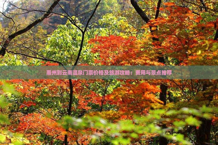 惠州到云南温泉门票价格及旅游攻略：费用与景点推荐