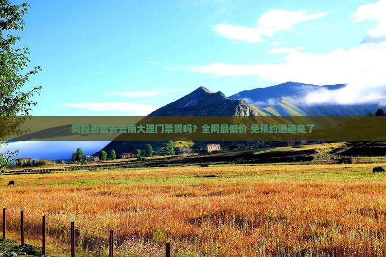 阿拉善盟去云南大理门票贵吗？全网最低价+免预约通道来了