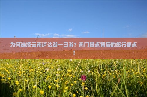 为何选择云南泸沽湖一日游？热门景点背后的旅行痛点！