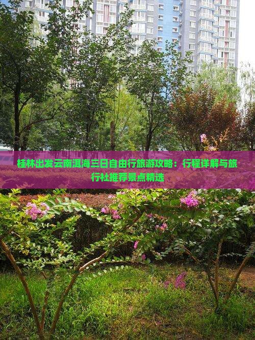桂林出发云南洱海三日自由行旅游攻略：行程详解与旅行社推荐景点精选