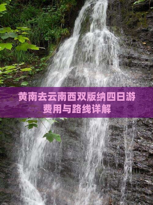 黄南去云南西双版纳四日游费用与路线详解