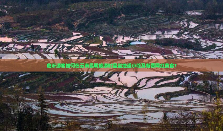 临沂游客如何在云南昆明旅游时品尝地道小吃及新晋网红美食？