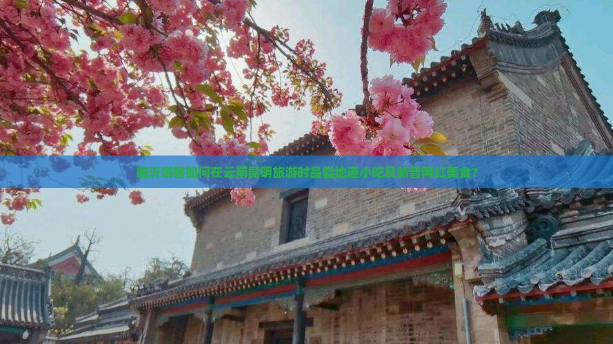 临沂游客如何在云南昆明旅游时品尝地道小吃及新晋网红美食？
