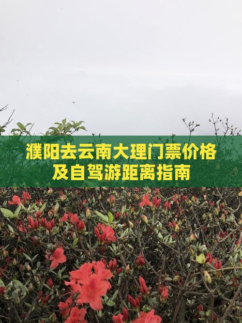 濮阳去云南大理门票价格及自驾游距离指南