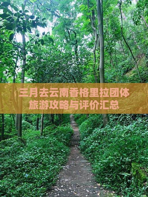 三月去云南香格里拉团体旅游攻略与评价汇总