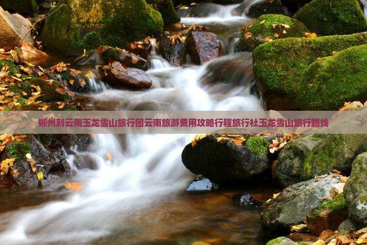郴州到云南玉龙雪山旅行团云南旅游费用攻略行程旅行社玉龙雪山旅行路线
