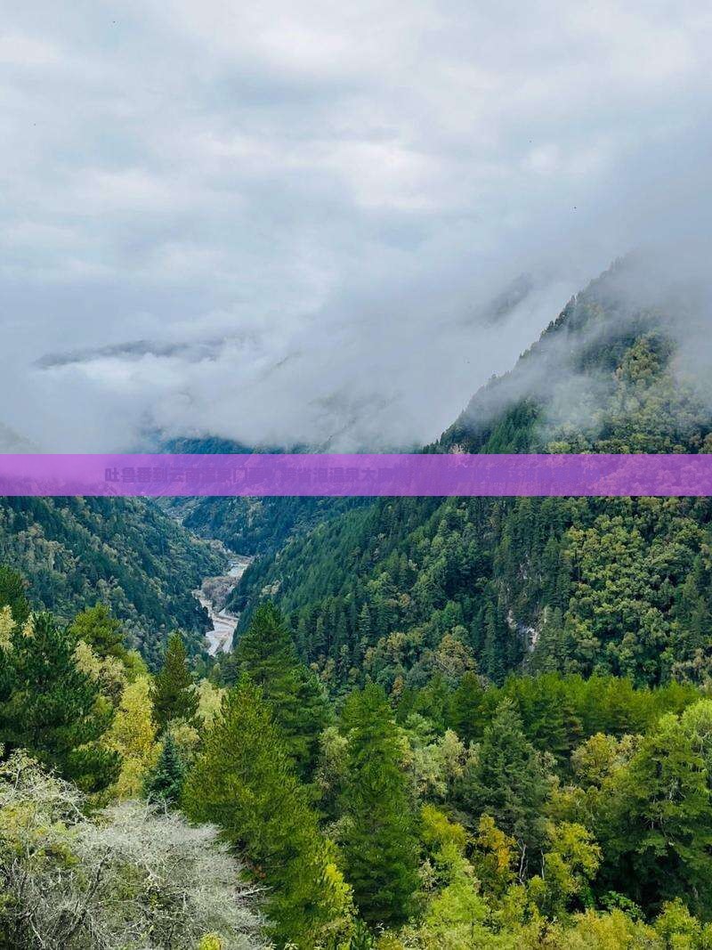 吐鲁番到云南温泉门票？跨省泡温泉太麻烦了，赶紧收藏这波种草好物！