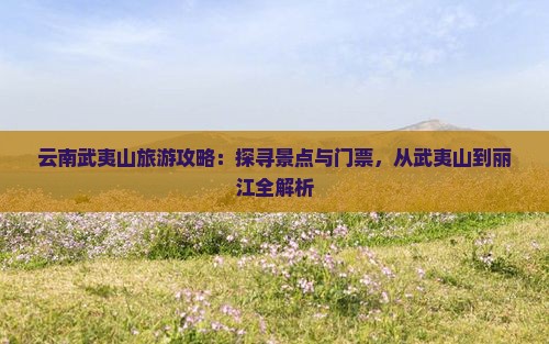 云南武夷山旅游攻略：探寻景点与门票，从武夷山到丽江全解析