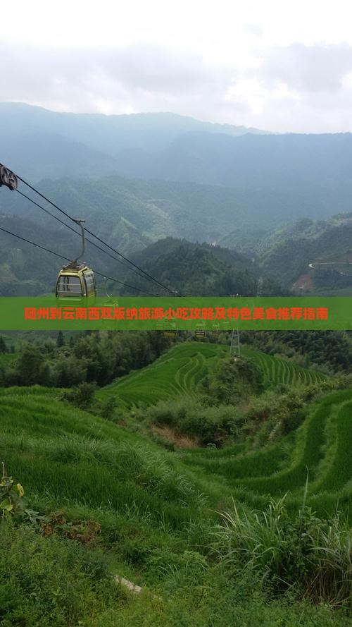 随州到云南西双版纳旅游小吃攻略及特色美食推荐指南