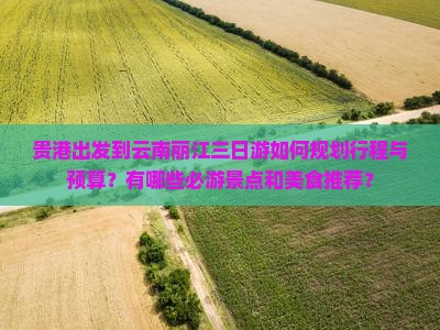 贵港出发到云南丽江三日游如何规划行程与预算？有哪些必游景点和美食推荐？