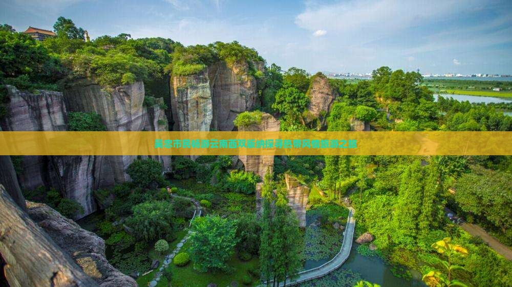 吴忠市民畅游云南西双版纳探寻热带风情旅游之旅