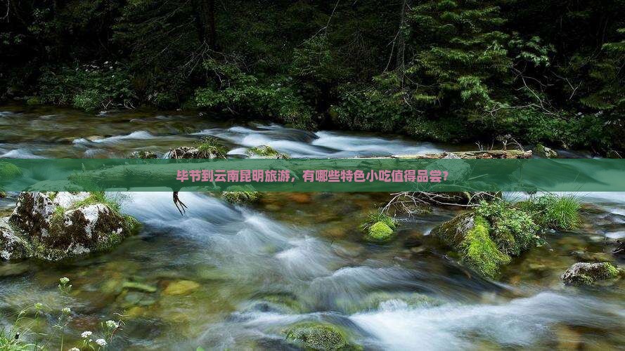 毕节到云南昆明旅游，有哪些特色小吃值得品尝？
