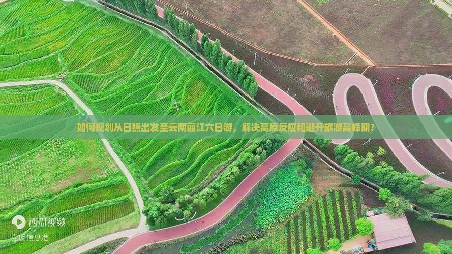 如何规划从日照出发至云南丽江六日游，解决高原反应和避开旅游高峰期？