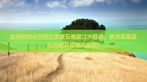 如何规划从日照出发至云南丽江六日游，解决高原反应和避开旅游高峰期？