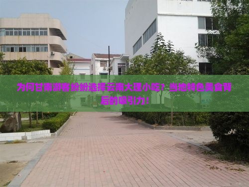 为何甘南游客纷纷选择云南大理小吃？当地特色美食背后的吸引力！