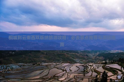 桐城到云南西双版纳旅游攻略：必去景点推荐与游玩指南