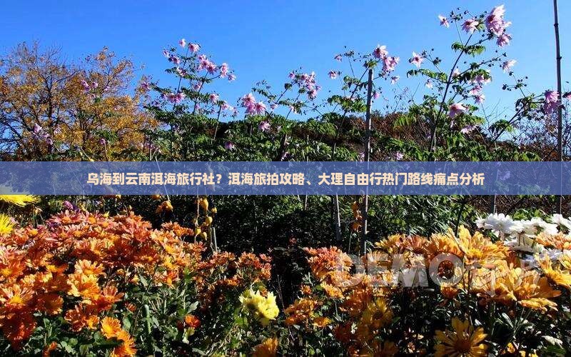 乌海到云南洱海旅行社？洱海旅拍攻略、大理自由行热门路线痛点分析