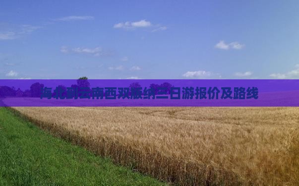 海北到云南西双版纳三日游报价及路线