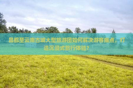 昌都至云南古城大型旅游团如何解决游客痛点，打造沉浸式旅行体验？