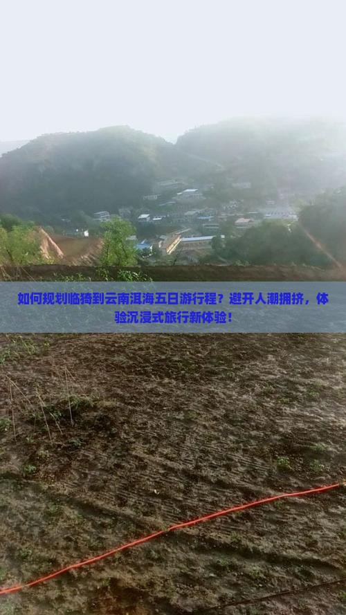 如何规划临猗到云南洱海五日游行程？避开人潮拥挤，体验沉浸式旅行新体验！