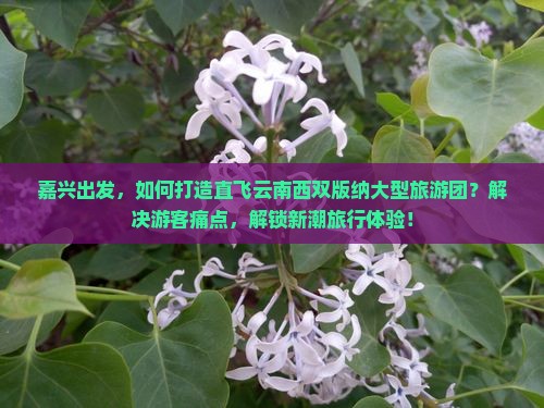 嘉兴出发，如何打造直飞云南西双版纳大型旅游团？解决游客痛点，解锁新潮旅行体验！