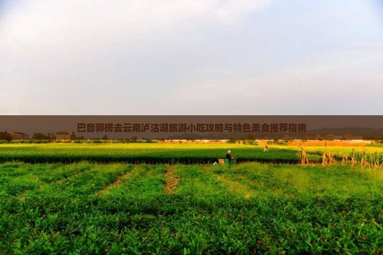 巴音郭楞去云南泸沽湖旅游小吃攻略与特色美食推荐指南
