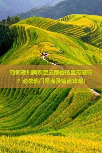 如何规划阿坝至云南香格里拉旅行？必去热门景点及痛点攻略！