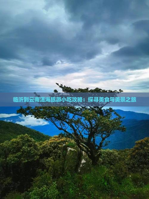 临沂到云南洱海旅游小吃攻略：探寻美食与美景之旅