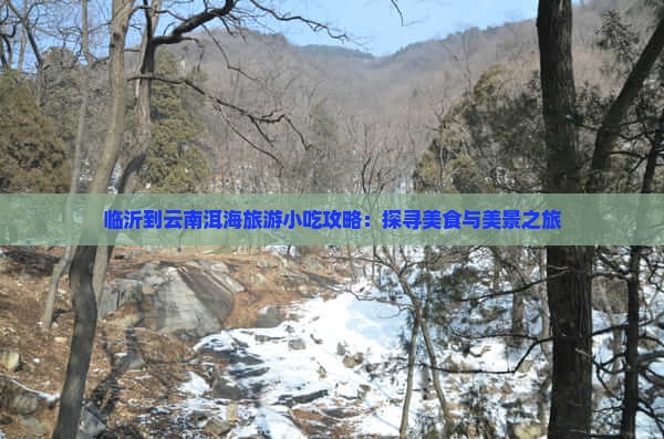 临沂到云南洱海旅游小吃攻略：探寻美食与美景之旅