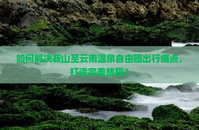 如何解决鞍山至云南温泉自由团出行痛点，打造完美旅程？