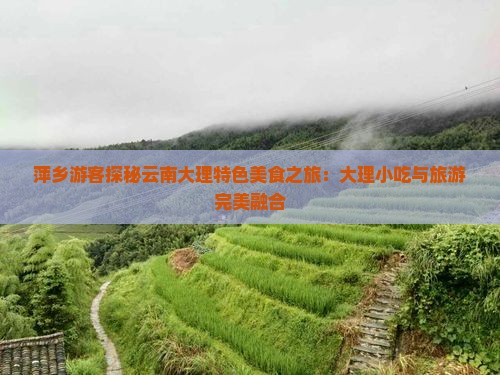 萍乡游客探秘云南大理特色美食之旅：大理小吃与旅游完美融合